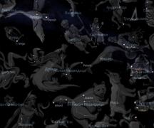 Astronomija za začetnike - Cirkumpolarna ozvezdja